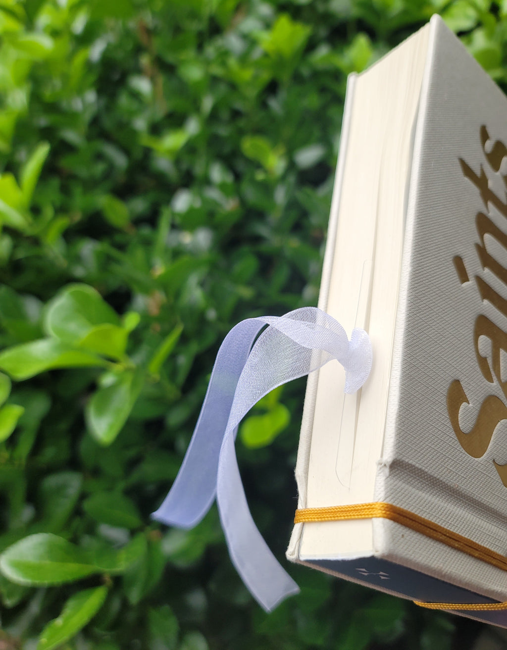 Pressed Flower Bookmark
