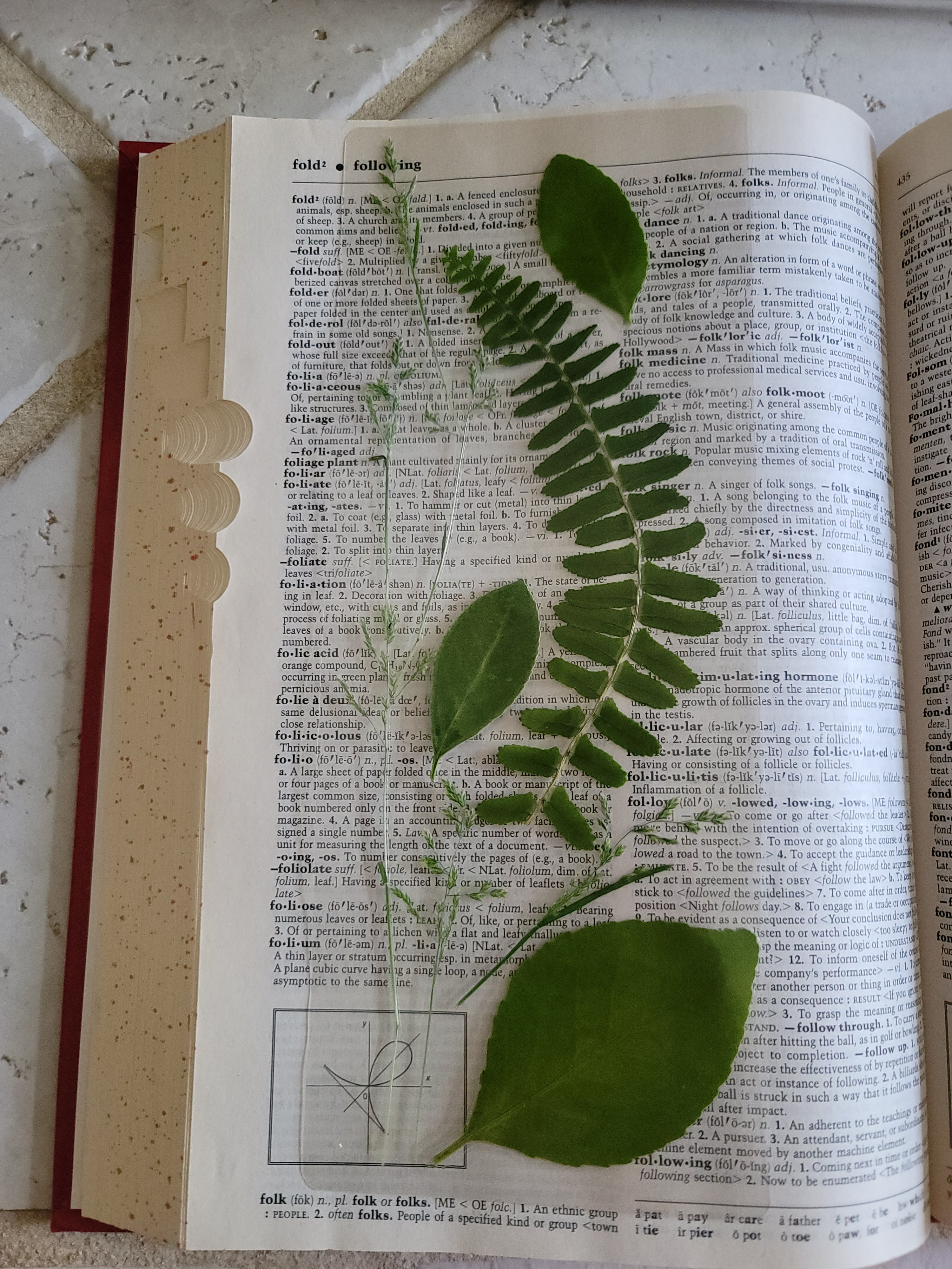 Pressed Flower Bookmark