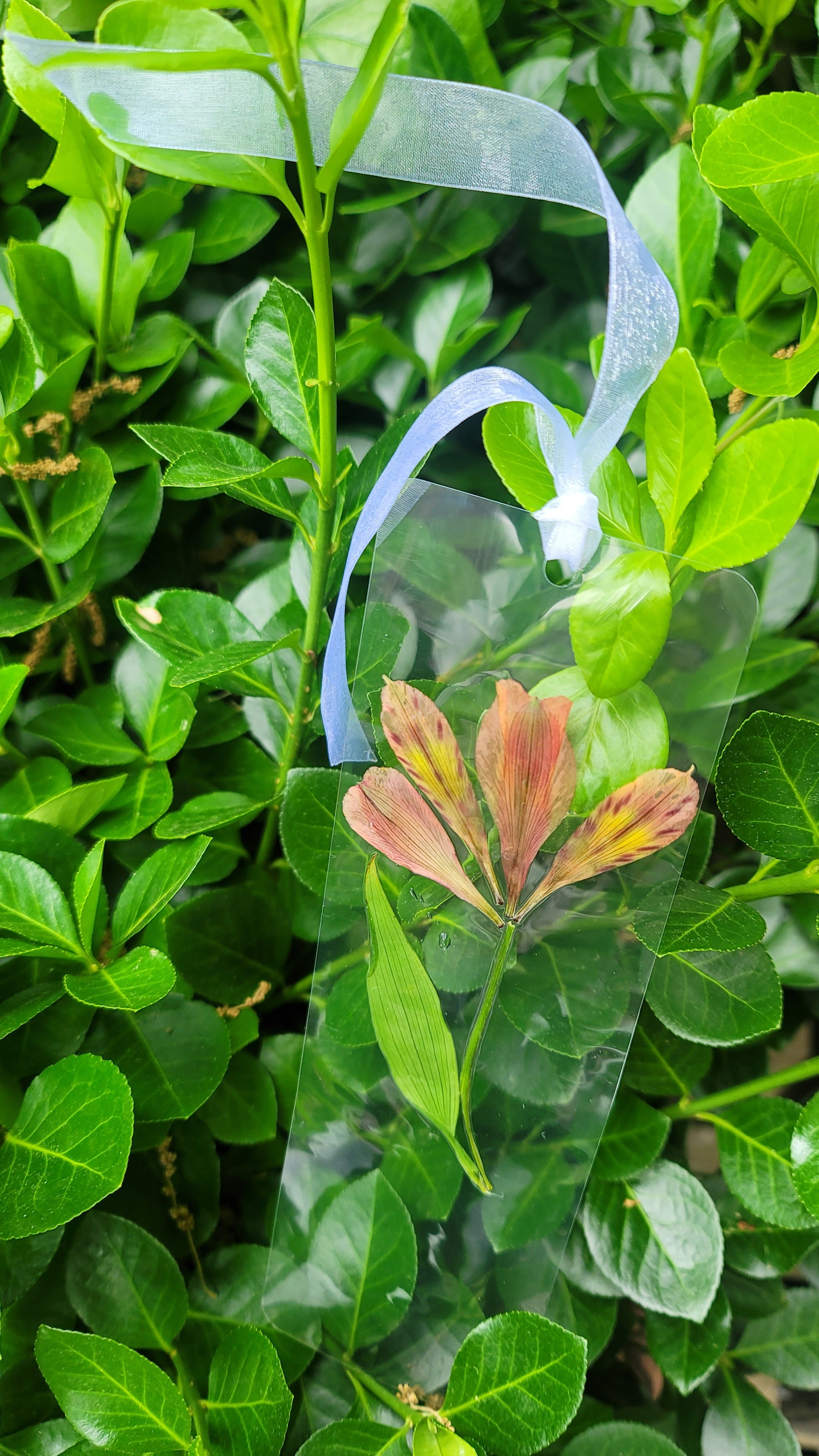 Pressed Flower Bookmark
