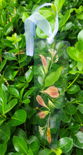Pressed Flower Bookmark