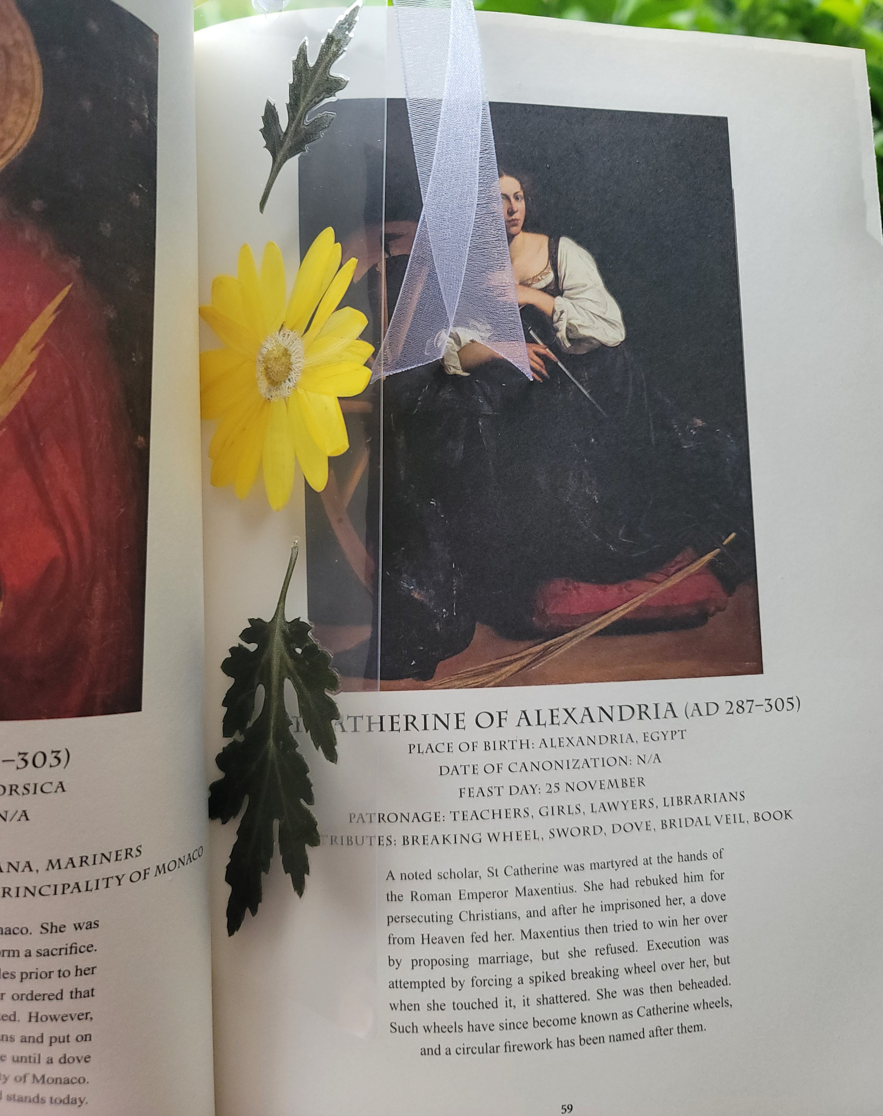 Pressed Flower Bookmark