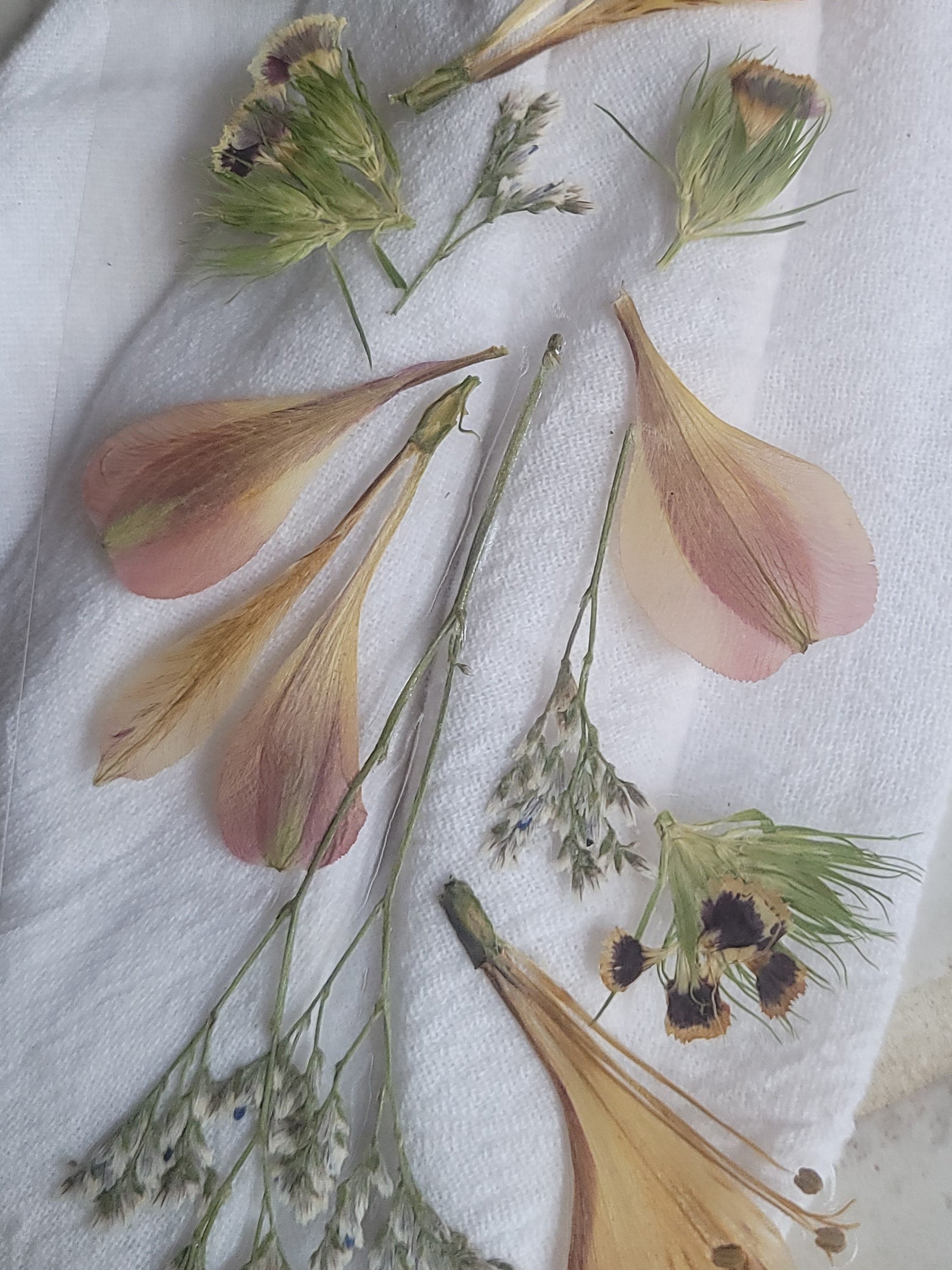 Pressed Flower Bookmark