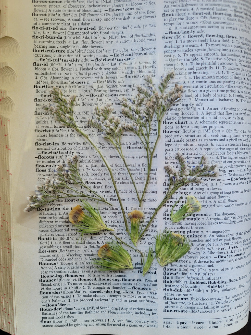 Pressed Flower Bookmark